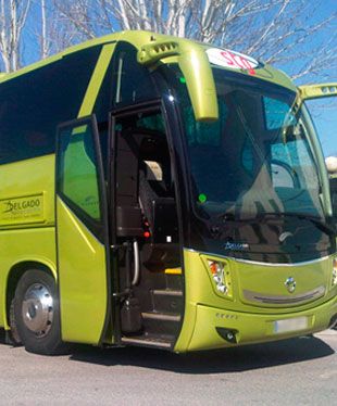 Autocares Delgado bus verde 